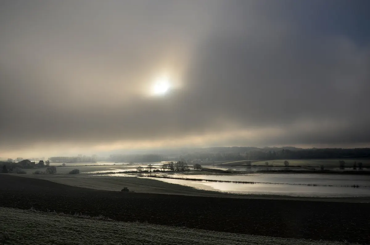 A Birder's Guide to the Somerset Levels in Winter: Trails, Hides and Seasonal Specialities